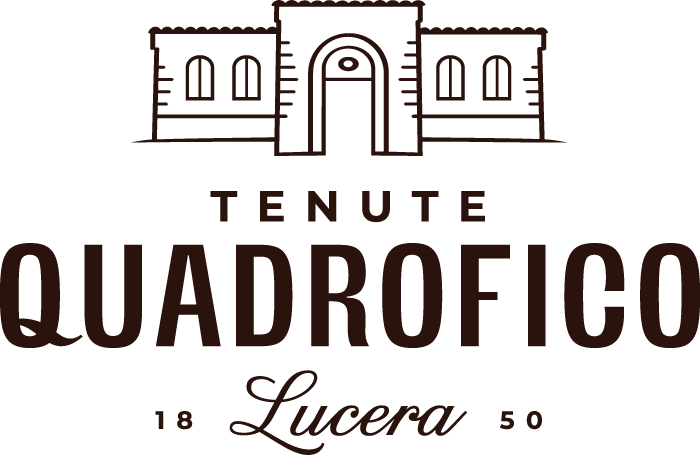 Logo-Quadrofico-Scuro-700px